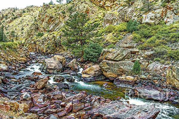 Colorado Rockies Photographs