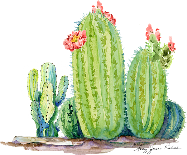 Cactus Watercolor Painting