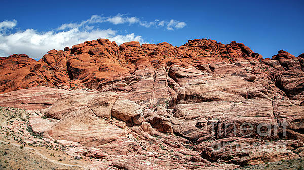 Natural Abstract - Calico Hills, Red Rock Canyon National Conservation Area