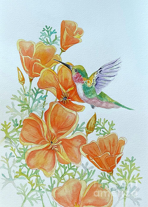 Hilda Vandergriff - California Poppies and Hummingbird