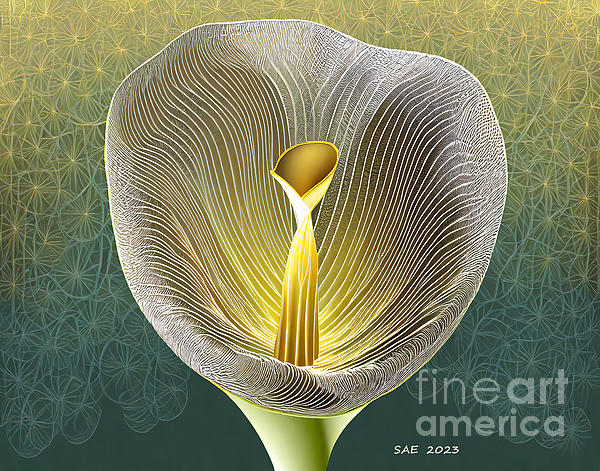 Sherry Epley - Calla Lily in Abstract #8