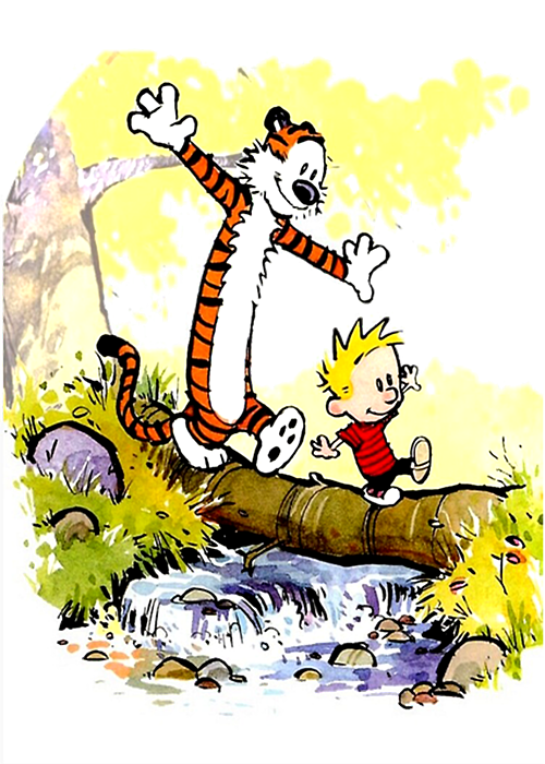 Calvin And Hobbes Comics, Calvin And Hobbes New, Bill Watterson ...