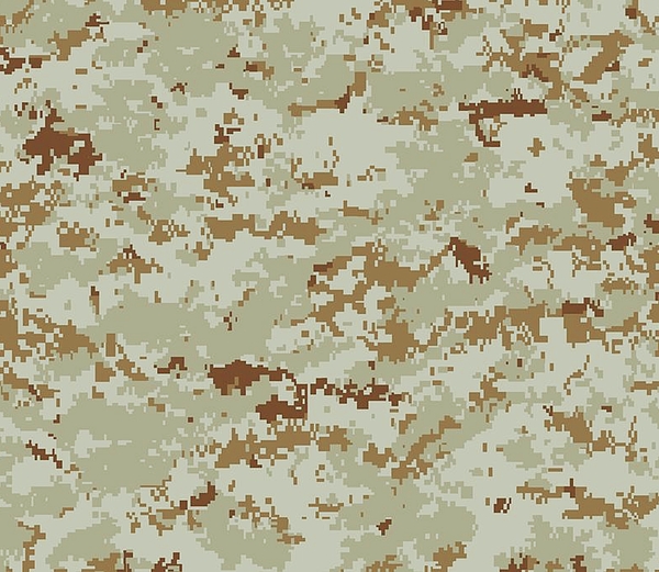 UNDERSTANDING THE DIFFERENT TYPES OF CAMO USED IN MILITARY