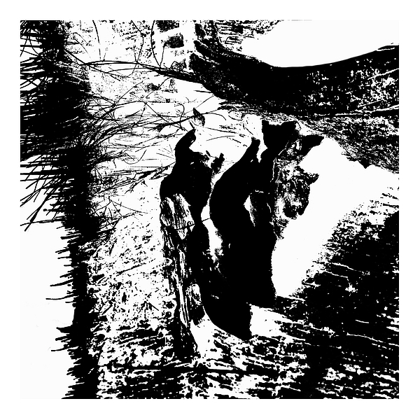 Unique Digital+art