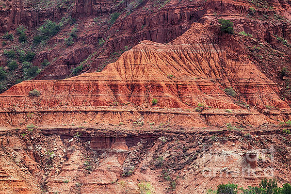 Natural Abstract - Caprock Canyons Red