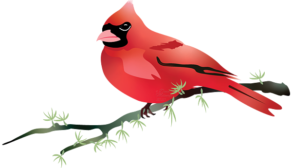 Red Cardinal Bird - T-shirt Design Png