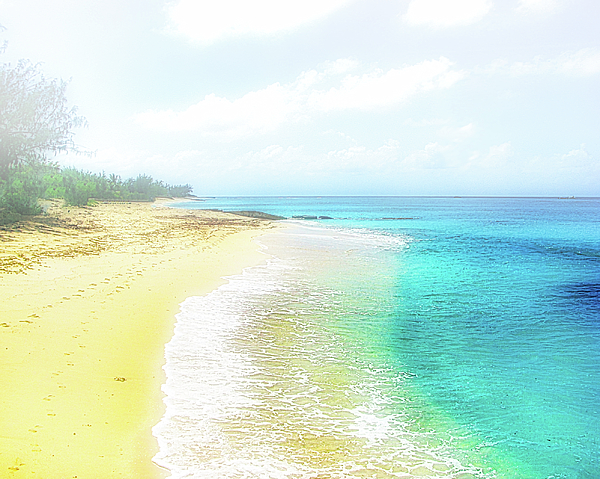 Scott Loring Davis - Caribbean Paradise 