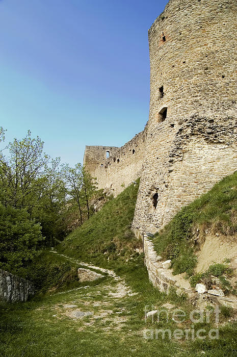 Paolo Signorini - Castle of Carpineti - Italy