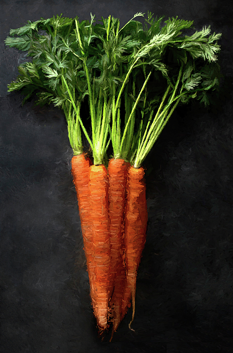 Zippered Pouch - Carrot