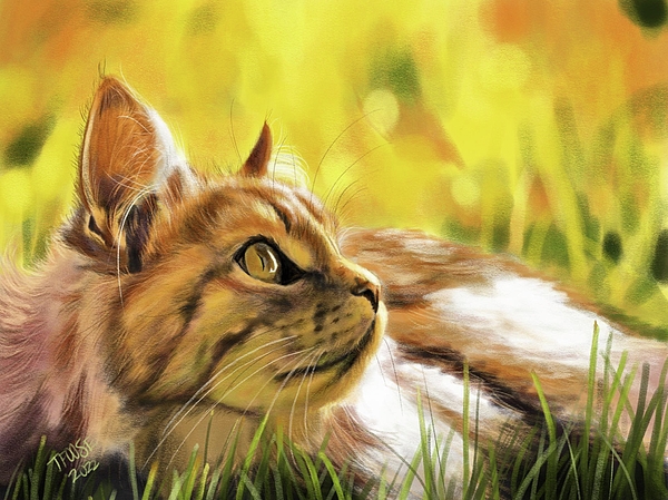 Taphath Foose - Cat in the Grass