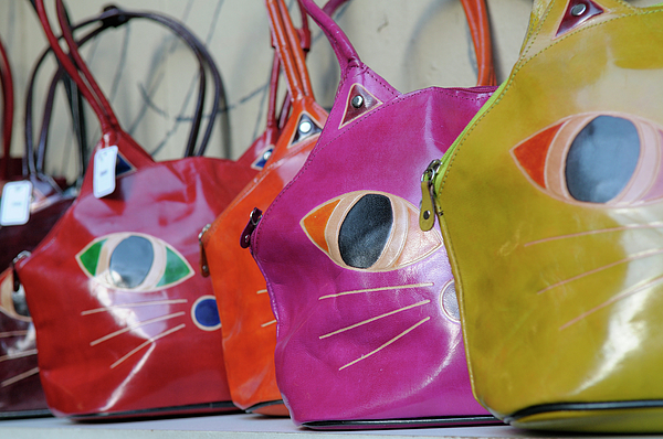 Cat purses for sale hotsell
