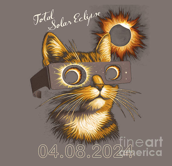 Beverly Guilliams - Cat Wearing Total Eclipse Glasses 4.8.24