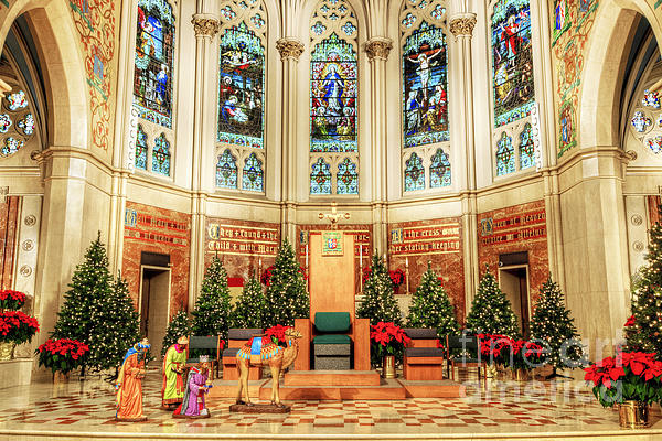 Catherine Stolz - Cathedral Alter at Christmas