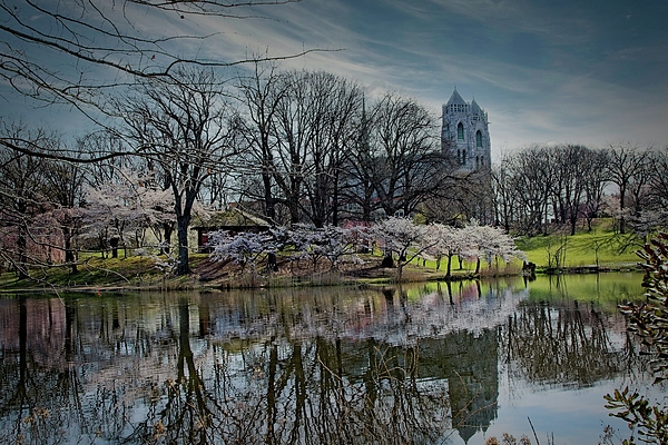 Geraldine Scull - Cathedral of the Basilica in Newark, NJ in spring