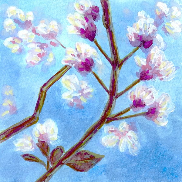 Delicate Art