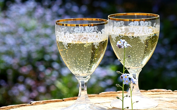 https://images.fineartamerica.com/images/artworkimages/medium/3/champagne-glasses-abut-spring-flowers-celebrate-unknown.jpg