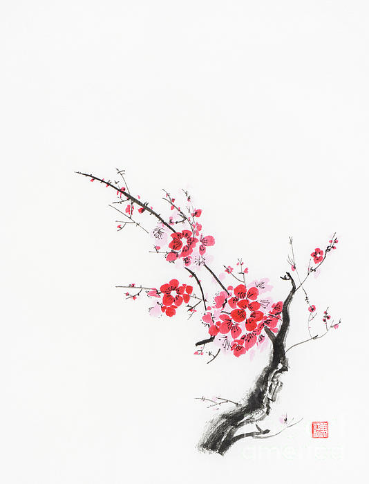 cherry blossom tree branch drawings