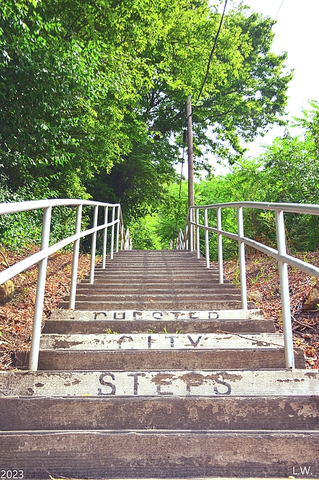 Lisa Wooten - Chester City Steps