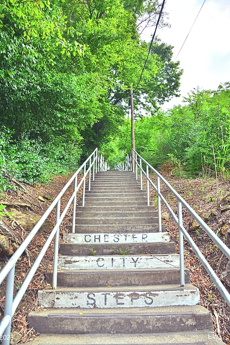 Lisa Wooten - Chester City Steps Vertical