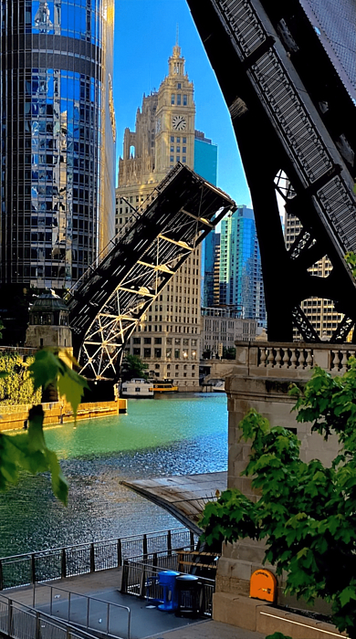 Illinois Paintings