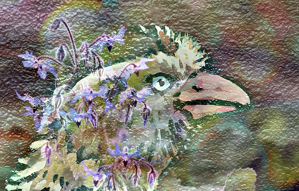 Intricate Art