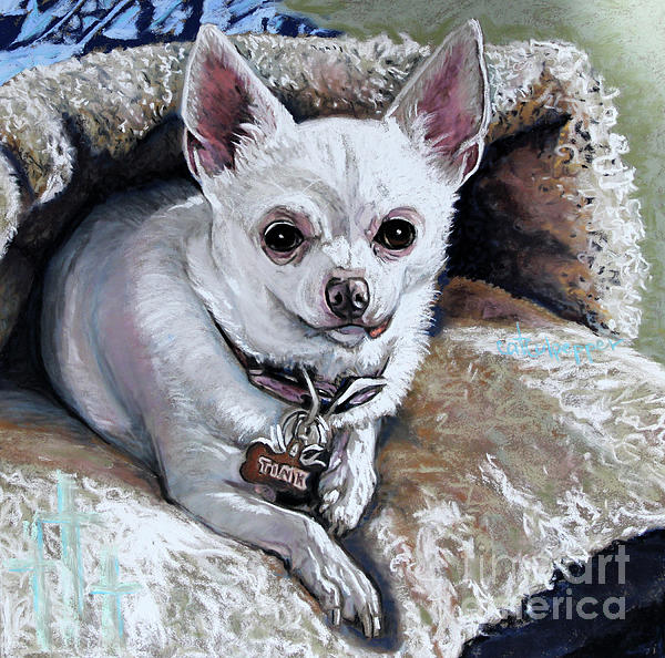 https://images.fineartamerica.com/images/artworkimages/medium/3/chihuahua-7-cat-culpepper.jpg