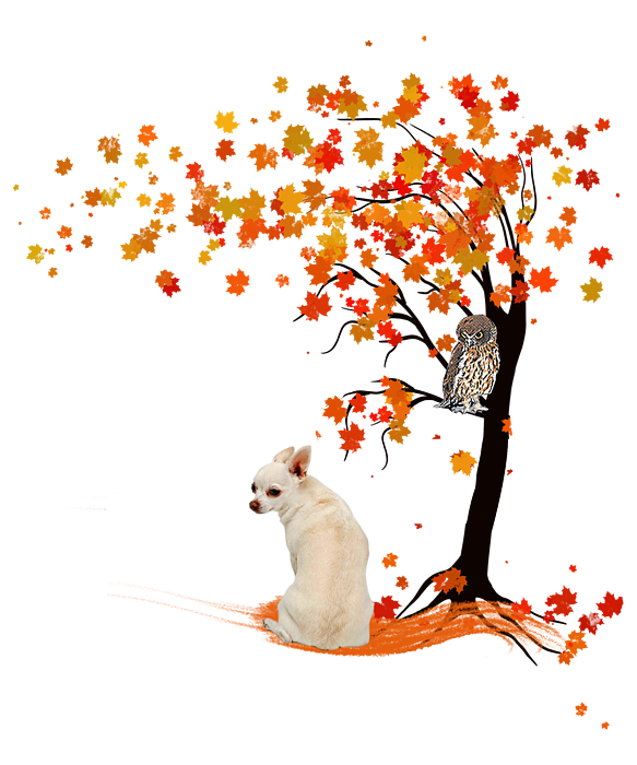 https://images.fineartamerica.com/images/artworkimages/medium/3/chihuahua-owl-and-fall-tree-chihuahua-lover-autumn-fancylife-transparent.png