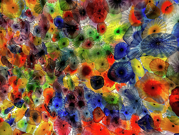 Donna Kennedy - Chihuly Flowers
