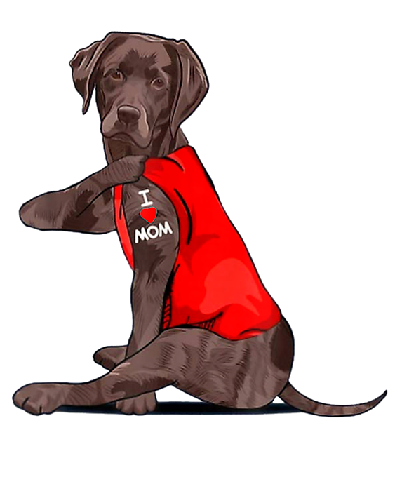 Chocolate lab outlet mom shirt