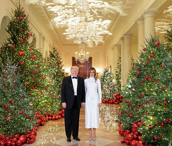 https://images.fineartamerica.com/images/artworkimages/medium/3/christmas-donald-and-melania-trump-official-white-house-photo.jpg