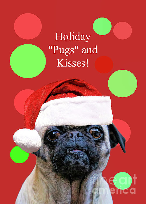 https://images.fineartamerica.com/images/artworkimages/medium/3/christmas-holiday-pug-with-santa-hat-cute-stephanie-laird.jpg