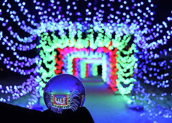 Christmas pillows with online lights