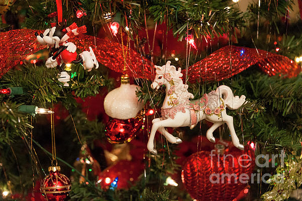 https://images.fineartamerica.com/images/artworkimages/medium/3/christmas-tree-audrey-wilkie.jpg