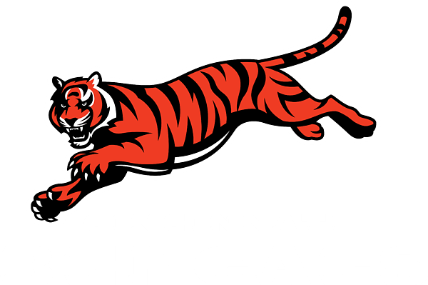 Cincinnati Bengals Toddler T-Shirt by Helo Keti - Pixels