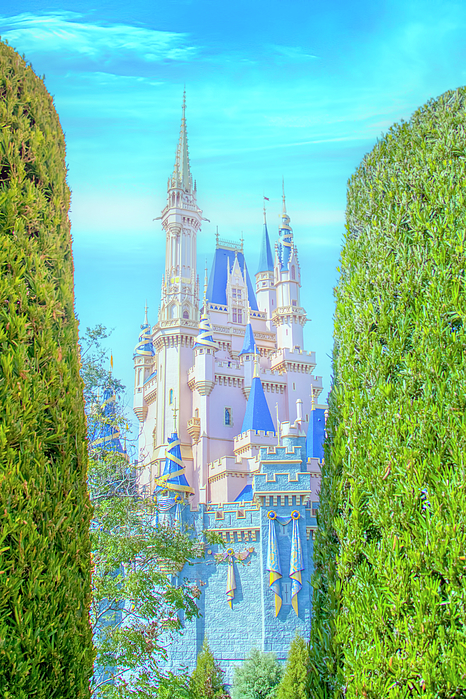 https://images.fineartamerica.com/images/artworkimages/medium/3/cinderella-castle-revealed-mark-andrew-thomas.jpg