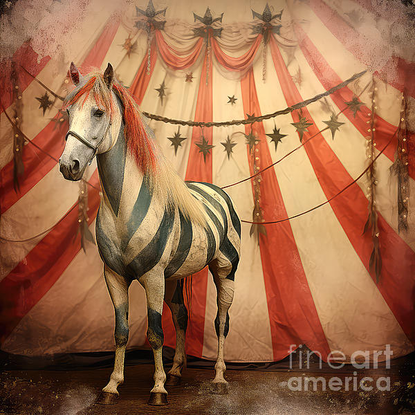 Elisabeth Lucas - Circus Horse
