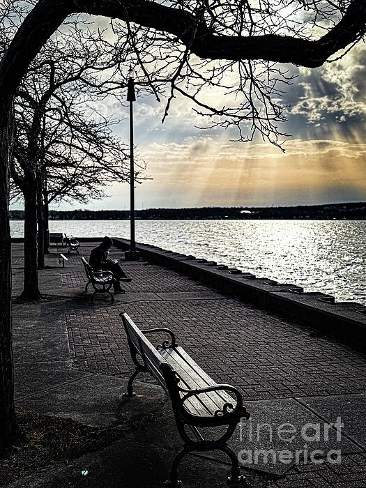 Serene Art
