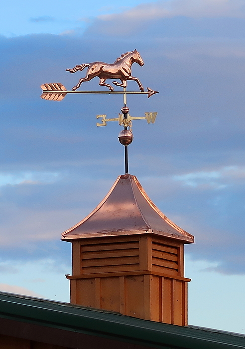 Katie Keenan - Classic Horse Lovers Weathervane and Cupola 