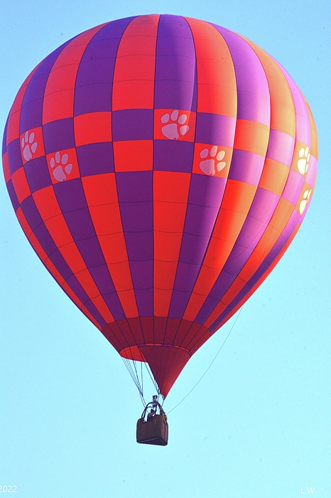 Lisa Wooten - Clemson Tigers Balloon