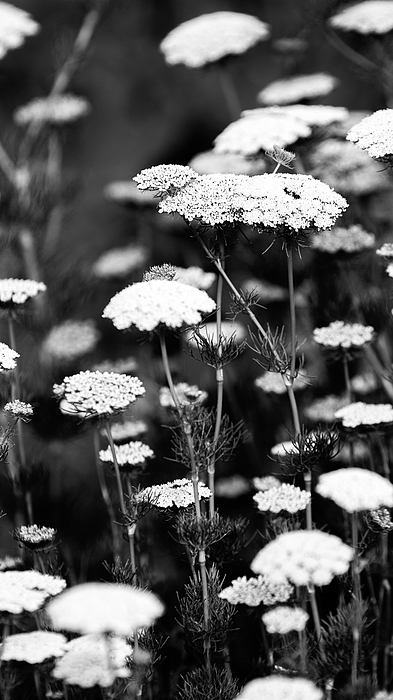 Spring Art