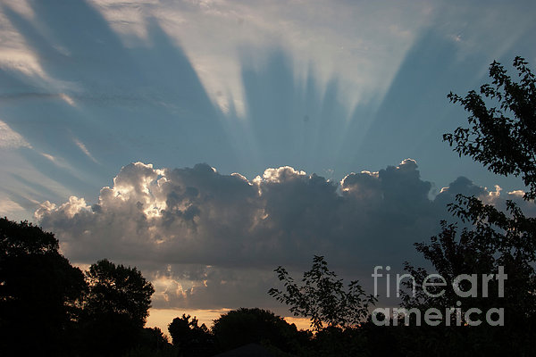 Sunlight Art