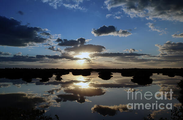 Brenda Harle - Cloudy Mangrove Sunrise