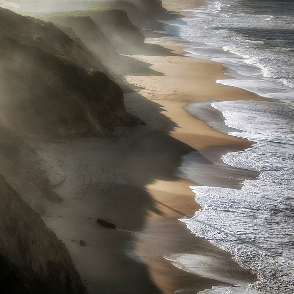 Tranquil Art