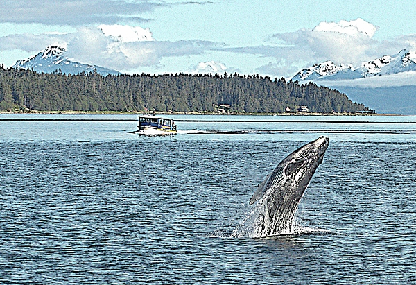 John Hughes - Coastal Alaska With Humpback Whale