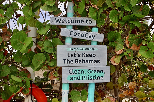 Arlane Crump - Coco Cay Sign