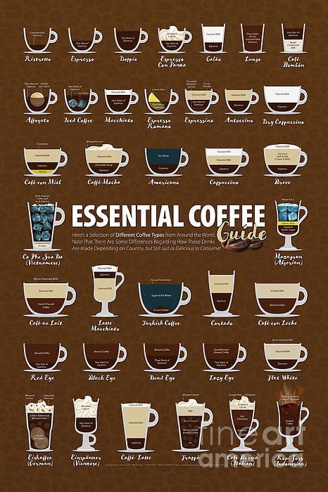 Coffee Cup Guide - Types & Size of Coffee Cups
