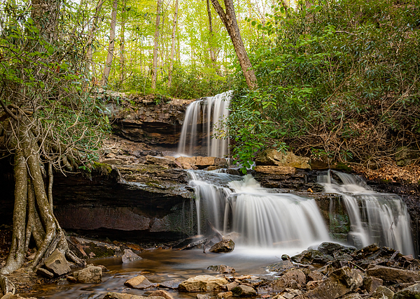 Holly April Harris - Cole Run Falls in Spring