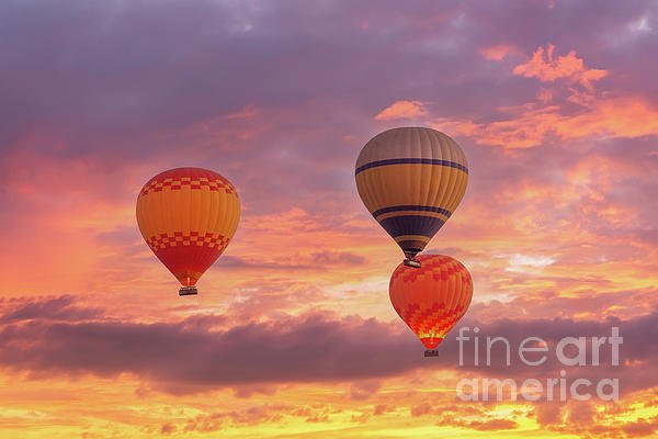 Delphimages Photo Creations - Coloful hot air balloons at sunrise