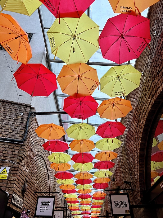 Saving Memories By Making Memories - Colorful Camden Umbrellas