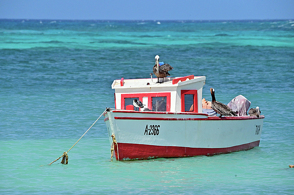 Ed Stokes - Colorful Caribbean boat